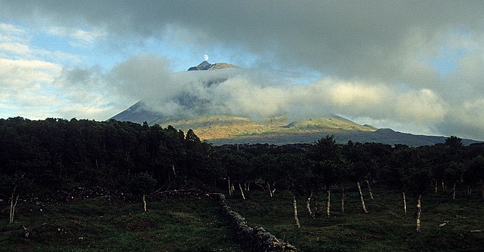 Weinbaukultur der Insel Pico