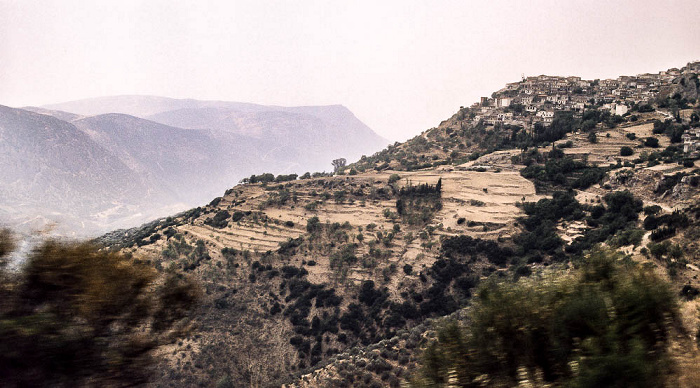 Delphi Tal des Xeropotamos (Pleistos)