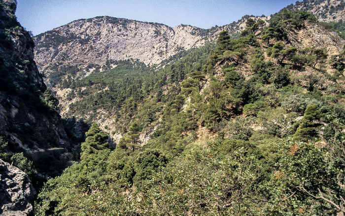 Vouraikos-Schlucht Zahnradbahn Diakopto - Kalavrita