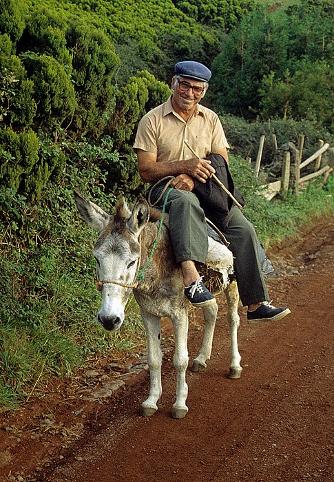Westspitze: Einheimischer auf Esel São Jorge