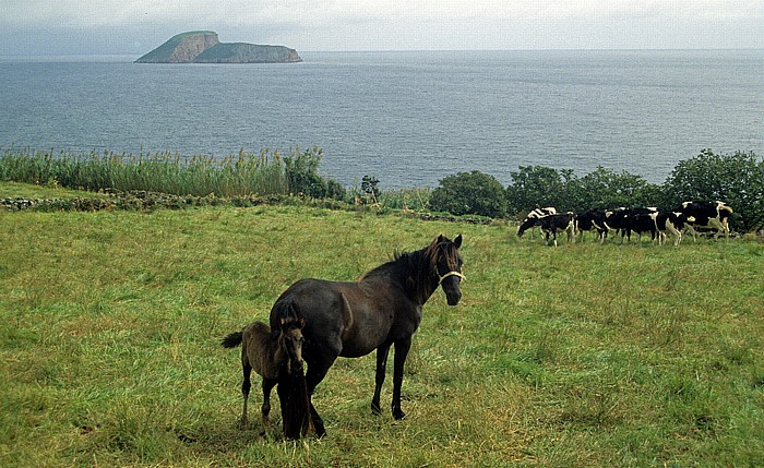 Terceira Südküste, Atlantik, Ilhéus das Cabras