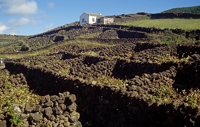 Ostküste Terceira