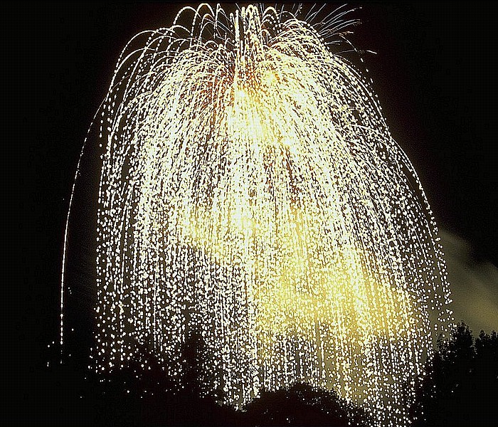 Stuttgart Canstatter Wasen: Feuerwerk Cannstatter Wasen