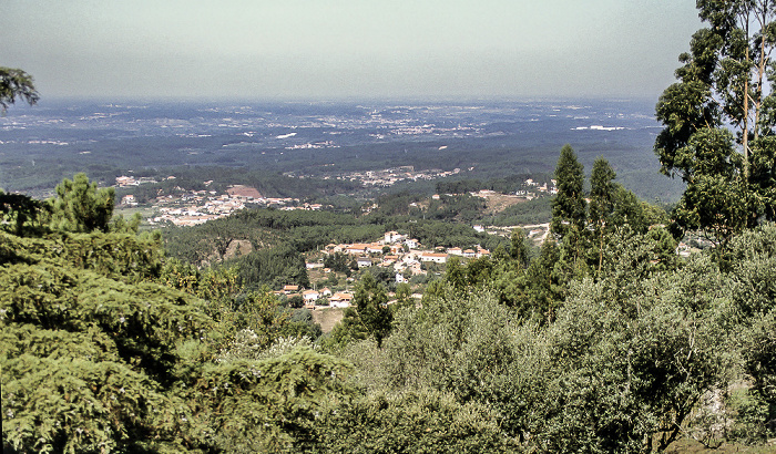 Blick vom Mata Nacional do Buçaco Serra do Buçaco