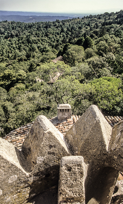 Blick vom Miradouro da Cruz Alta: Mata Nacional do Buçaco Serra do Buçaco