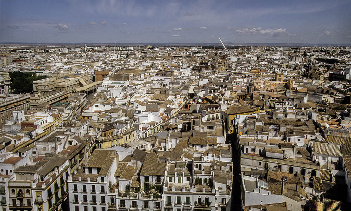 Blick von der Giralda (Kathedrale (Santa María de la Sede)): Innenstadt, im Hintergrund die EXPO '92 Sevilla