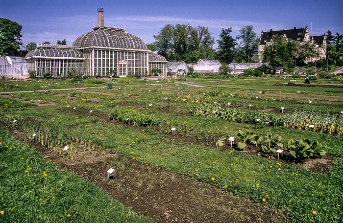 Botanischer Garten der Universität von Helsinki