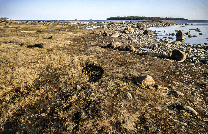 Helsinki Lauttasaari, Ostsee