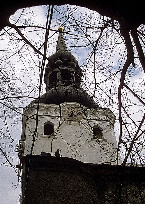 Altstadt: Domberg - Tallinner Dom (Tallinna toomkirik) Tallinn 1993