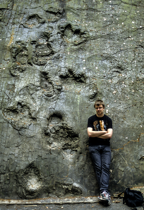 Barkhausen Jürgen vor Dinosaurierspuren