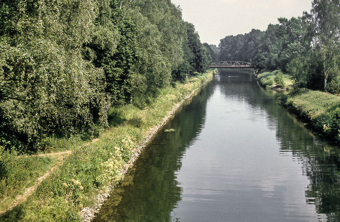 Osnabrück Hase