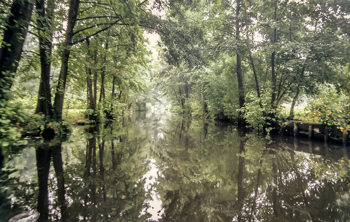 Spreewald