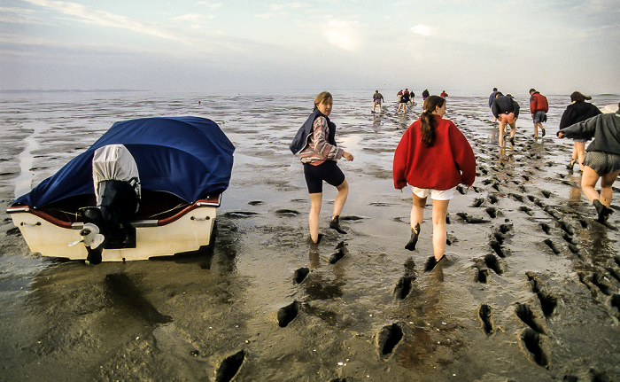 Jadebusen (Nationalpark Niedersächsisches Wattenmeer) Dangast