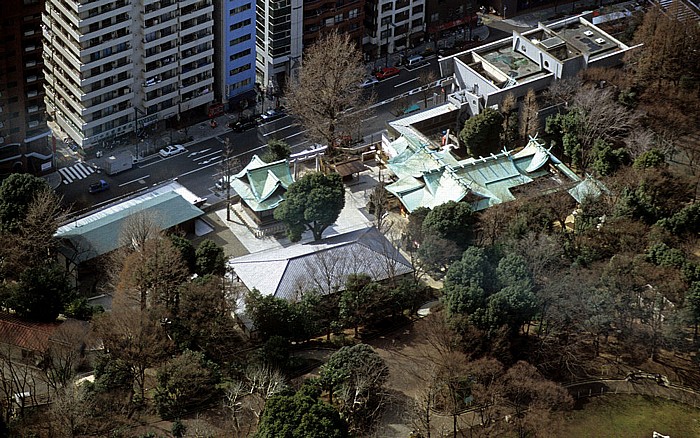 Blick vom Tokyo Metropolitan Government Building (Rathaus): Shinjuku Chuo Park (Shinjuku Central Park) Tokio