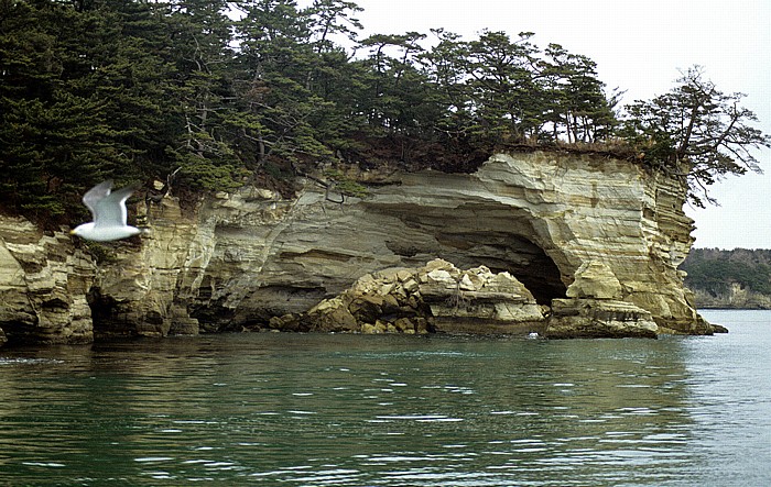 Kiefernbedeckte Insel Matsushima-Bucht