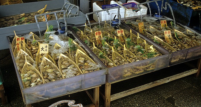 Meeresfrüchte Enoshima