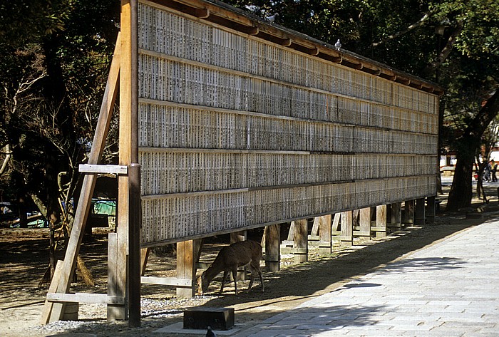 Nara Todaiji-Tempel