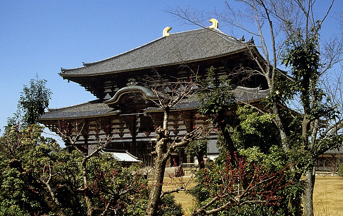 Nara Todaiji-Tempel