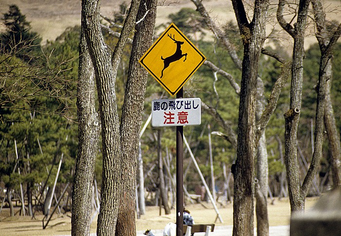 Nara-Park