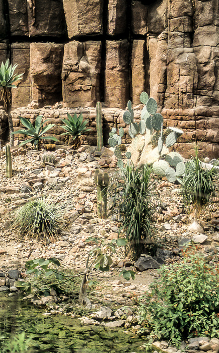 Burgers' Zoo Arnheim