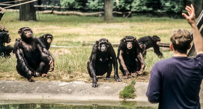 Burgers' Zoo Arnheim