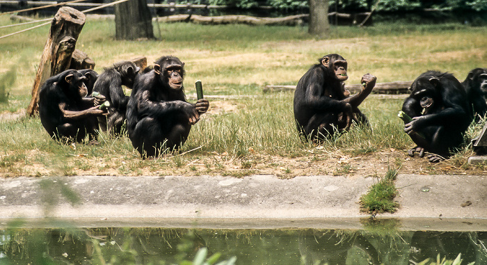 Burgers' Zoo Arnheim