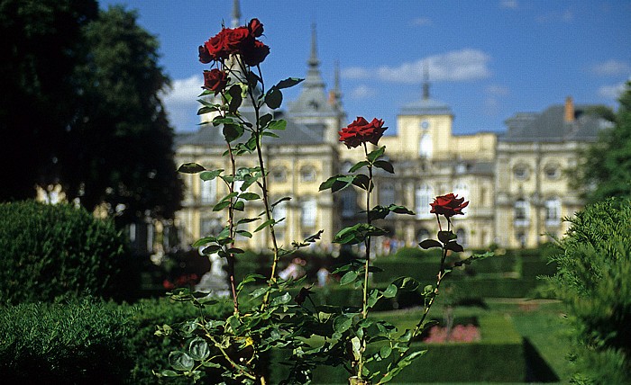 La Granja de San Ildefonso: Palastgarten - Rosen San Ildefonso