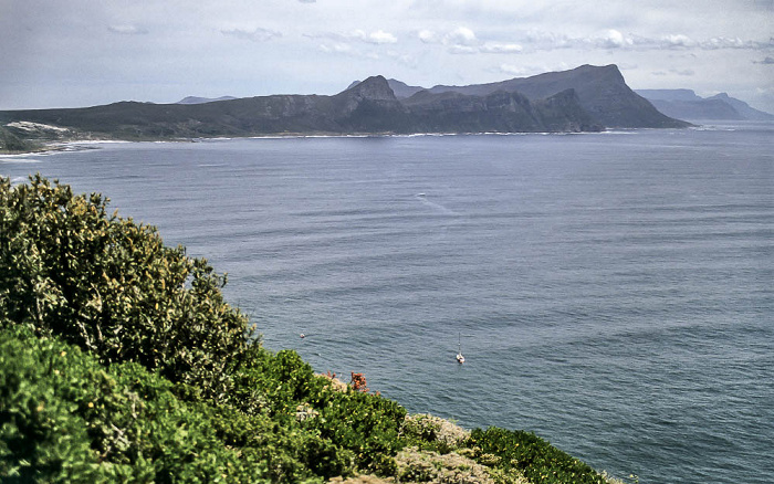 Cape of Good Hope Nature Reserve False Bay