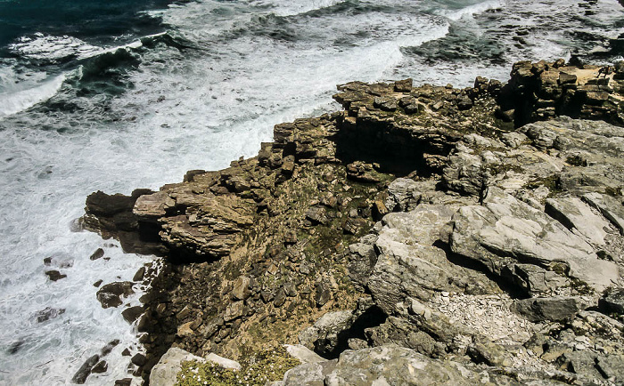 Kap der Guten Hoffnung Cape of Good Hope Nature Reserve