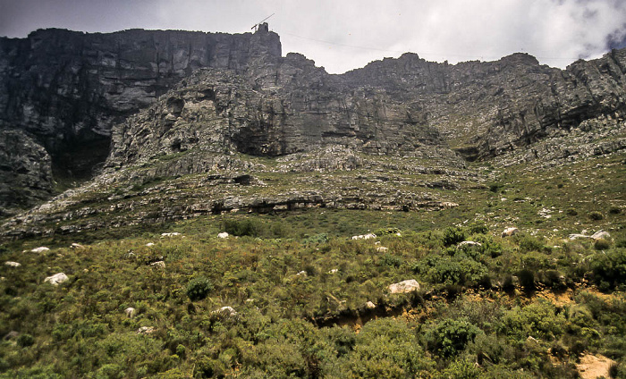 Kapstadt Tafelberg