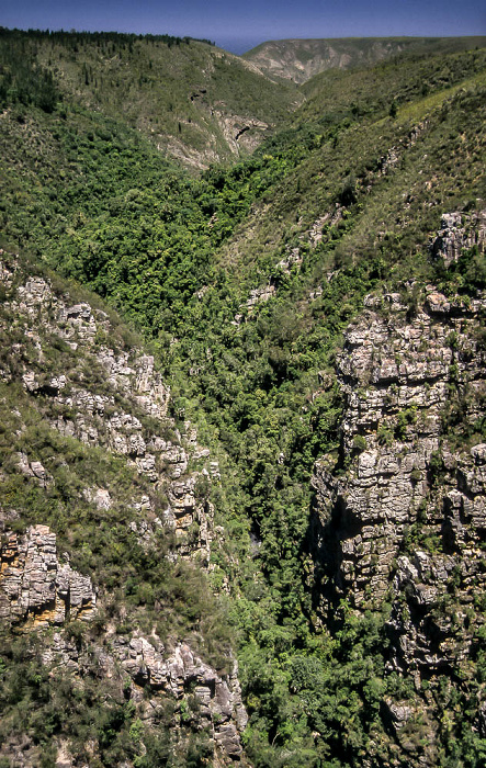Garden Route Zwischen Plettenberg Bay und Port Elizabeth: Schlucht