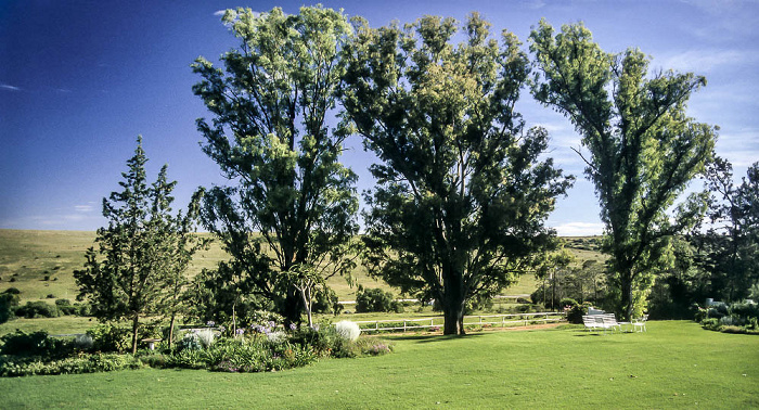 Grahamstown Farm