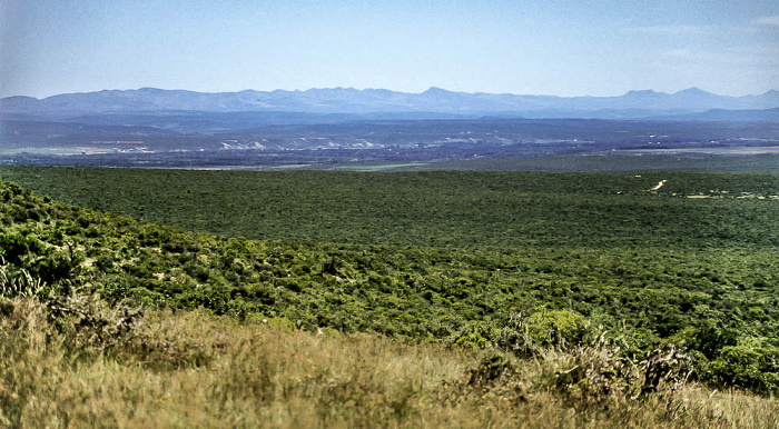 Addo-Elefanten-Nationalpark Überblick