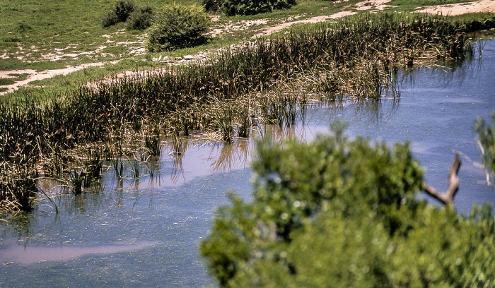 Addo-Elefanten-Nationalpark Wasserloch