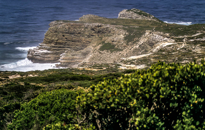 Cape of Good Hope Nature Reserve