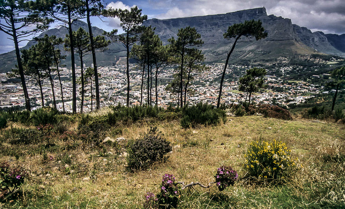 Blick vom Signal Hill: Devil's Peak und Tafelberg Kapstadt