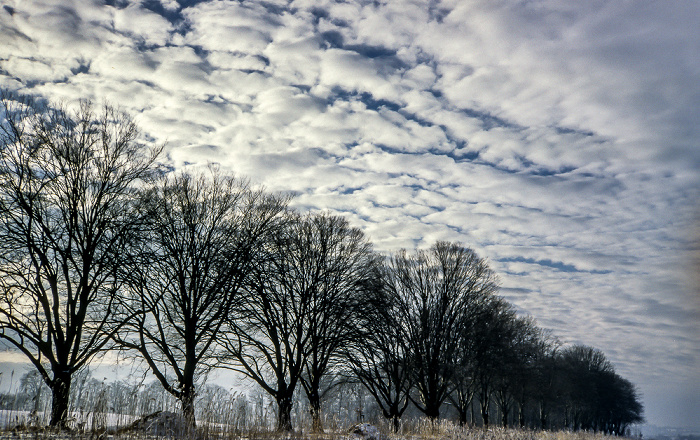 Herreninsel Schlosspark Herrenchiemsee