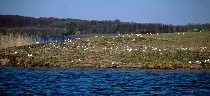 Holsteinische Schweiz