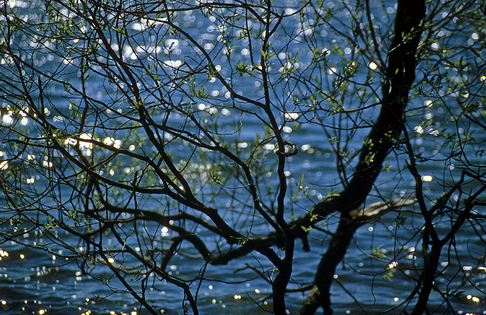 Großer Plöner See