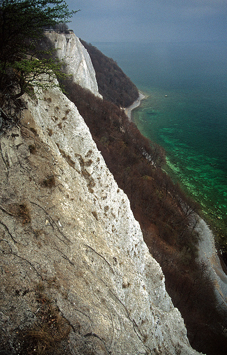 Rügen Kreidefelsen