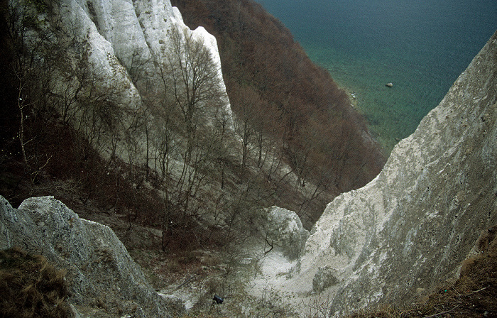 Kreidefelsen Rügen