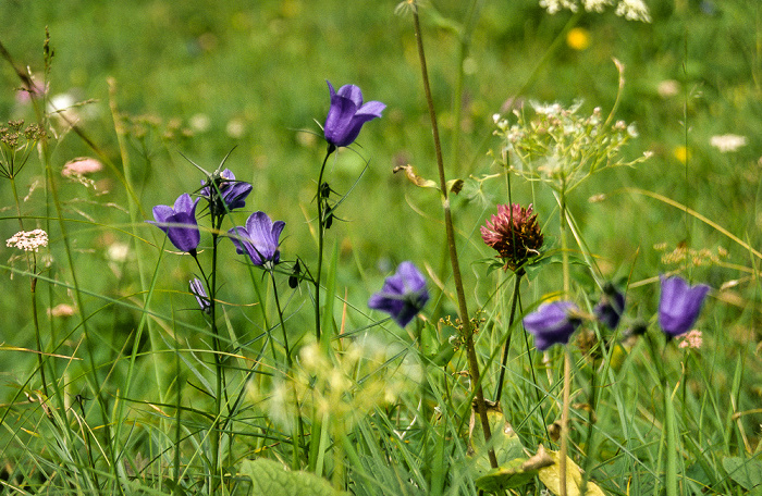 Wettersteingebirge