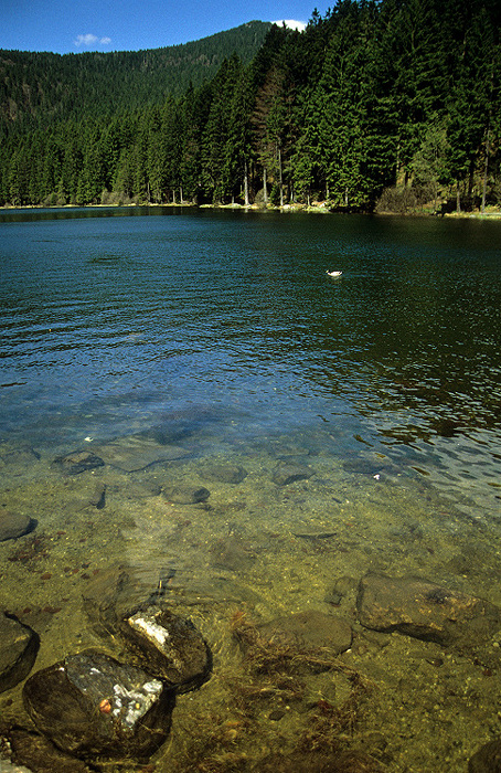 Bayerischer Wald Großer Arbersee