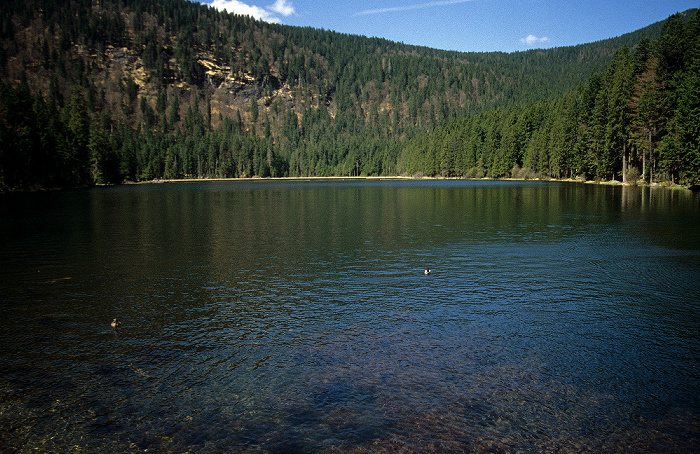 Großer Arbersee Bayerischer Wald