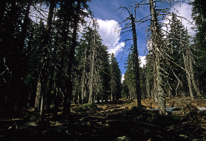 Großer Arber Bayerischer Wald