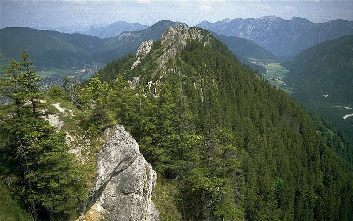 Sonnenberg Blick nach Osten