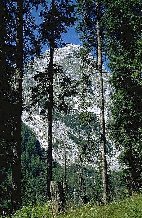 Königssee Archenkopf: Teil des Watzmann-Massivs