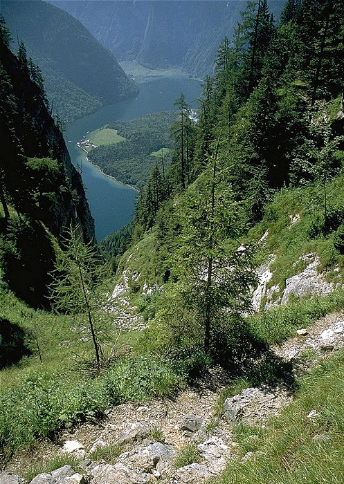 Königssee Rinnkendlsteig