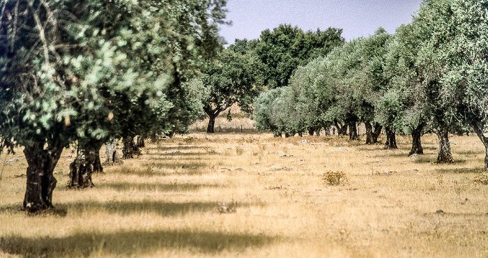Alentejo