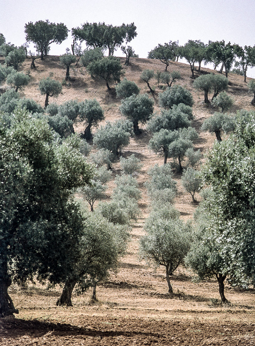 Alentejo
